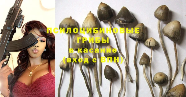 кокс Алзамай