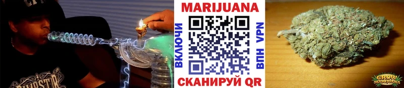 Конопля план Аргун